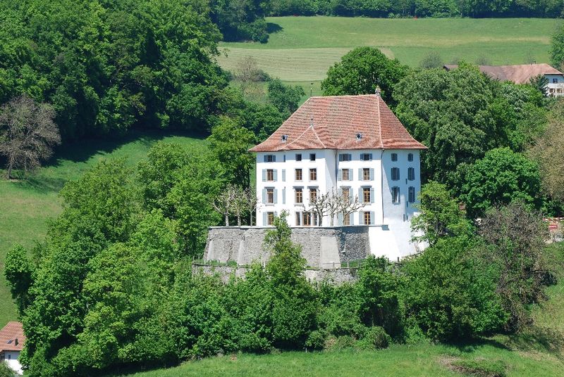 goldenberger-elektro_schloss-rued_01